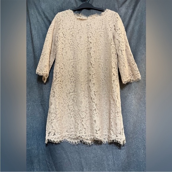 Joie Lace Mini Dress in Light Pink - Picture 13 of 15